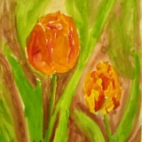 63