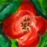 85